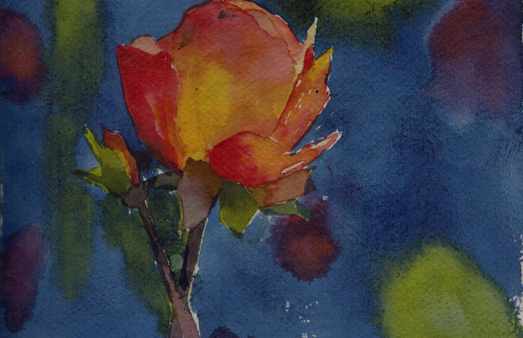 Painting of a rose with PY150, PR209, and PB60.