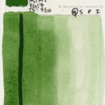 Watercolor-Daniel-Smith-Chromium-Green-Oxide-PG17-024-300