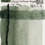 Watercolor-Daniel-Smith-Rare-Green-Earth-PG23-181-300