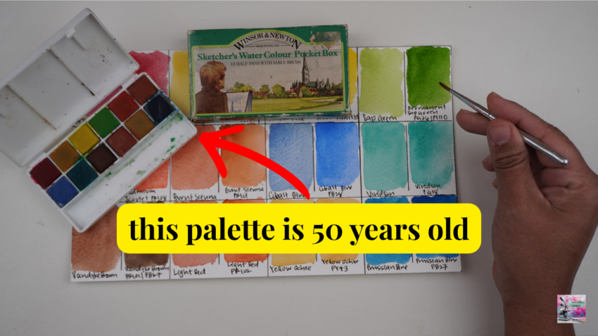 this palette is 50 years old